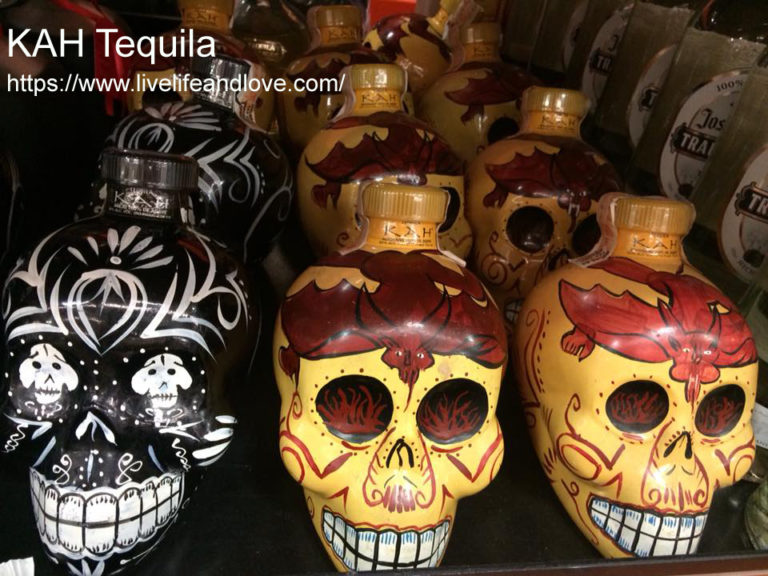 Skull Head Tequila Bottles Live Life and Love
