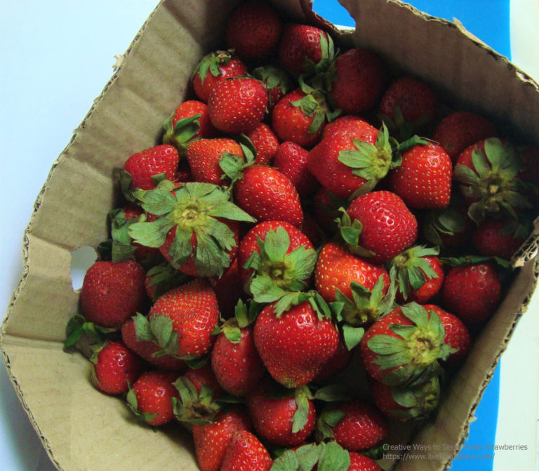 Creative Ways to Serve Fresh Strawberries Live Life and Love