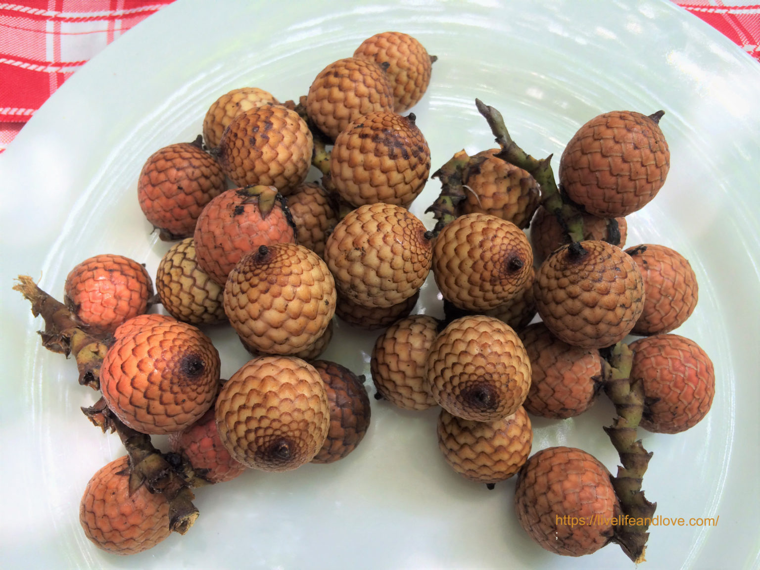 Rattan Fruit Tasting Experience